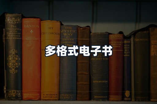 多格式电子书